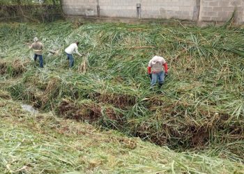 Prefeitura faz limpeza de córregos e manutenção urbana para prevenir enchentes
