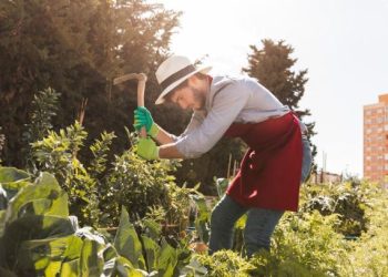 Fortalecimento da agricultura familiar: Poços de Caldas analisa edital para credenciamento