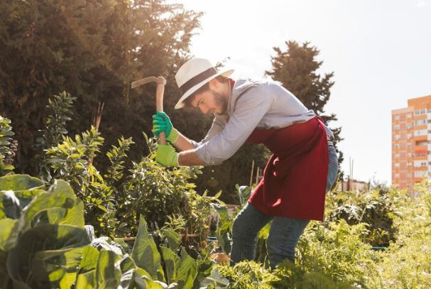 Fortalecimento da agricultura familiar: Poços de Caldas analisa edital para credenciamento