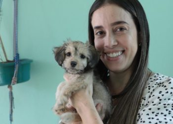 Governo de MG tem programas de combate ao abandono de animais domésticos