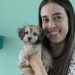 Governo de MG tem programas de combate ao abandono de animais domésticos
