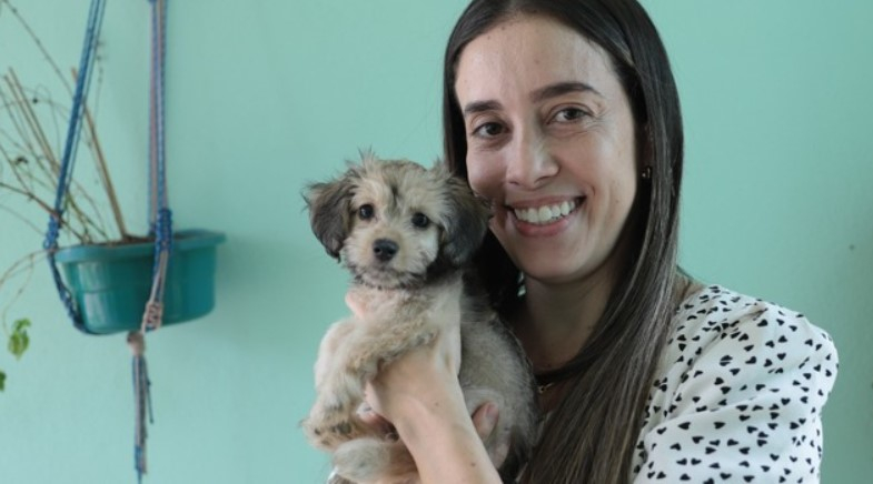 Governo de MG tem programas de combate ao abandono de animais domésticos