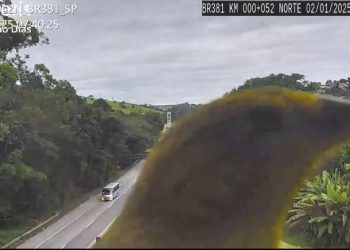VÍDEO: canarinhos atrapalham a fiscalização na BR-381 no sul de Minas