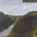 VÍDEO: canarinhos atrapalham a fiscalização na BR-381 no sul de Minas