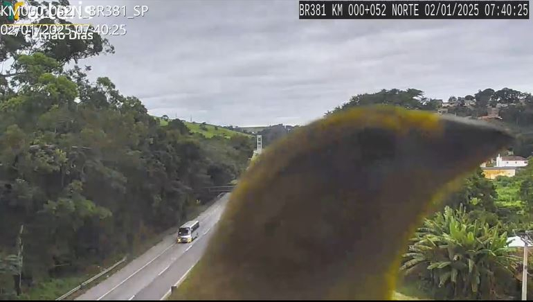 VÍDEO: canarinhos atrapalham a fiscalização na BR-381 no sul de Minas
