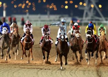 Governo Federal autoriza apostas em animais, incluindo corrida de cavalo e vaquejada