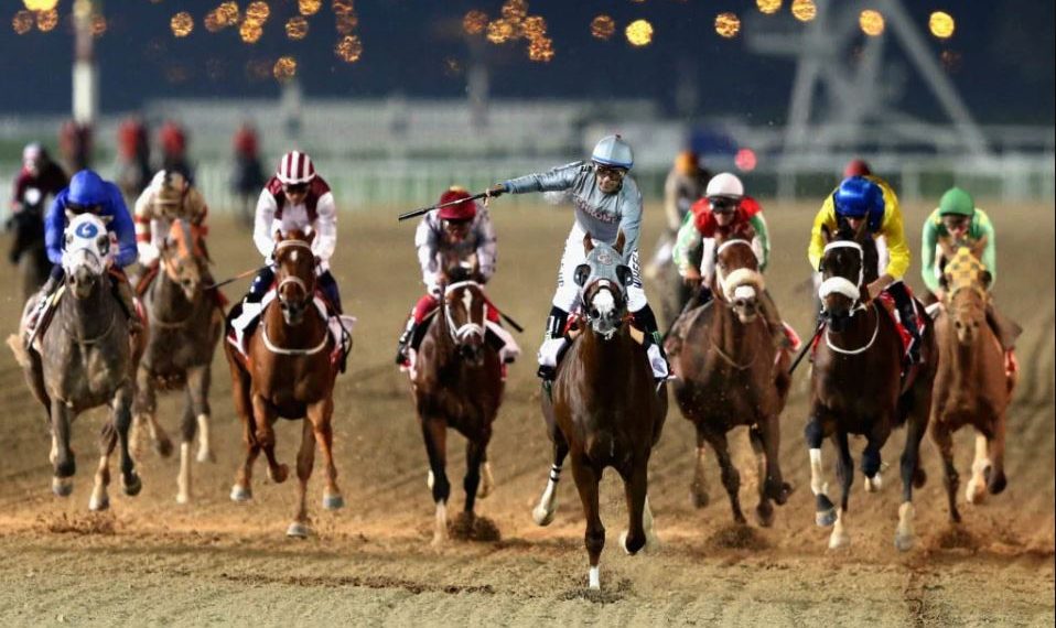 Governo Federal autoriza apostas em animais, incluindo corrida de cavalo e vaquejada