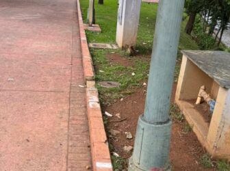 VANDALISMO: ambulantes estariam demarcando lugares na Praça Pedro II para o Carnaval