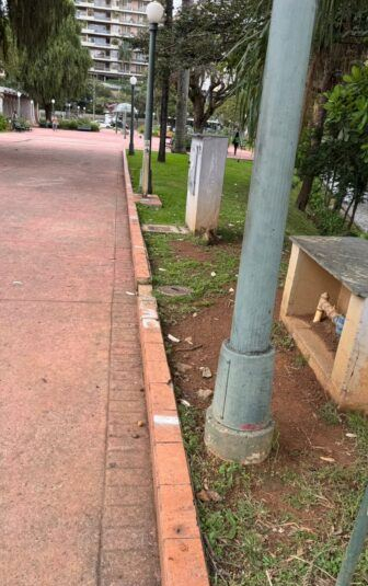 VANDALISMO: ambulantes estariam demarcando lugares na Praça Pedro II para o Carnaval
