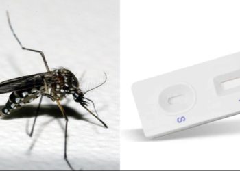 DENGUE: Governo de Minas vai distribuir testes rápidos de diagnóstico da doença aos municípios