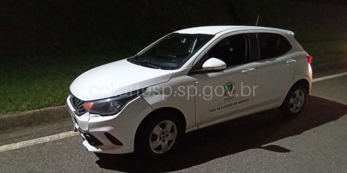 Acidente com animal silvestre na rodovia SP-340 em Casa Branca