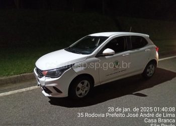 Acidente com animal silvestre na rodovia SP-340 em Casa Branca