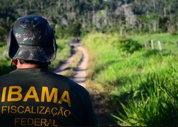 Concurso do Ibama tem salários de R$ 9,9 mil mais benefícios