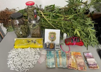 Polícia Civil prende em flagrante duas mulheres por tráfico de drogas