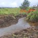 Prefeitura de Poços aumenta a limpeza de ribeirões e córregos