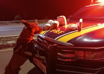 PRF apreende grande quantidade de drogas em ônibus que fazia linha SP-MG