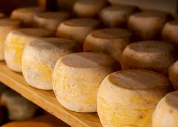 20 de janeiro: Dia Mundial do Queijo