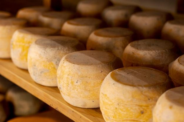 20 de janeiro: Dia Mundial do Queijo