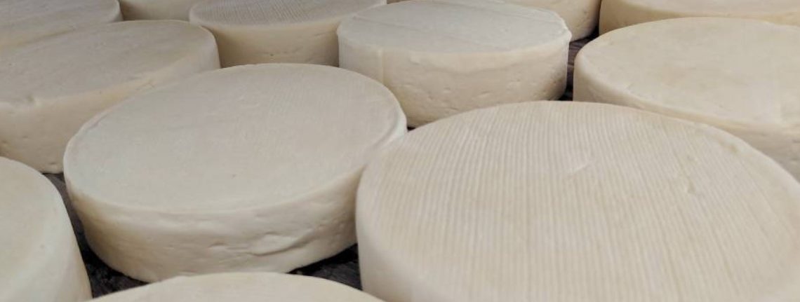 Queijo: Governo de Minas simplifica o registro de queijarias artesanais