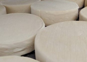 Queijo: Governo de Minas simplifica o registro de queijarias artesanais