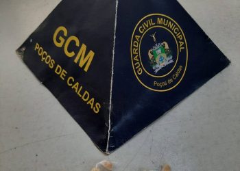 Drogas são encontradas em arbustos do Parque José Affonso Junqueira pela GCM