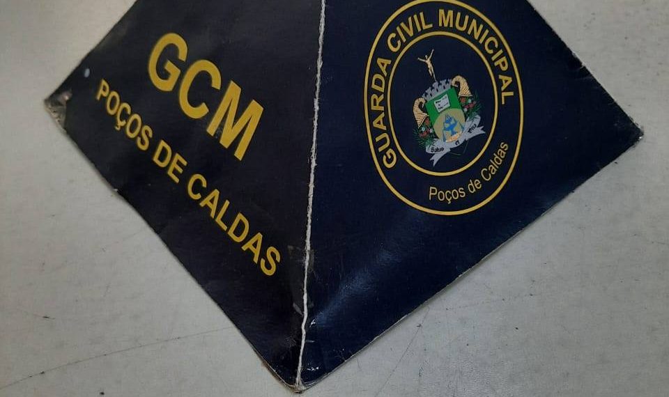 Drogas são encontradas em arbustos do Parque José Affonso Junqueira pela GCM