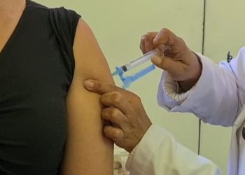 Combate à febre amarela: salas de vacina abrem neste sábado (8)