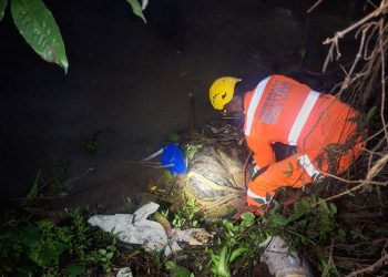 Corpo de Bombeiros resgata cachorro em perigo às margens de córrego em Poços