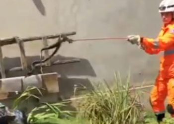 Bombeiros resgatam cobra caninana no quintal de uma casa em Poços de Caldas