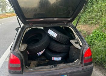 PRF recupera carga de pneus furtada de caminhão que bateu em barranco na BR-381