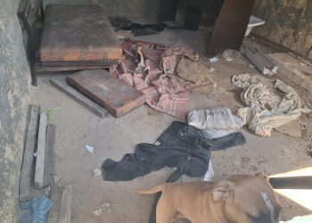 Idoso e animais são vítimas de maus-tratos em São José do Rio Pardo