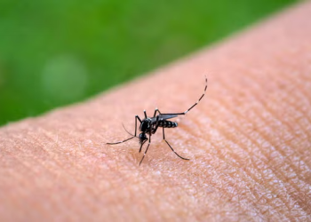 Primeira morte por chikungunya é confirmada no Sul de Minas Gerais