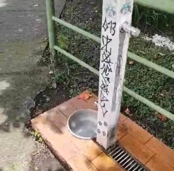 Bebedouros pet são pichados e furtados em Poços de Caldas