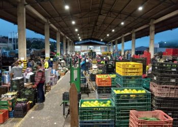 Ceasa de Poços divulga toda semana os preços dos 157 produtos comercializados