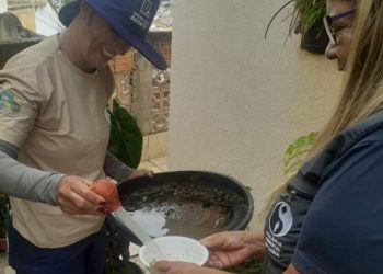 Agentes de endemias fazem mutirão contra dengue em Poços de Caldas
