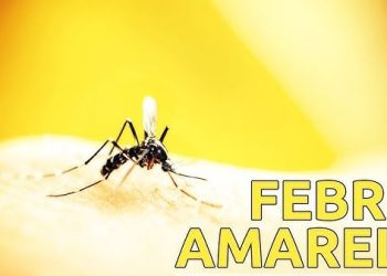 Secretaria Estadual de Saúde de Minas Gerais confirmou a primeira morte por febre amarela em humano