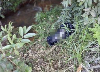 Mochila com corpo de recém-nascido é encontrada em córrego no Sul de Minas