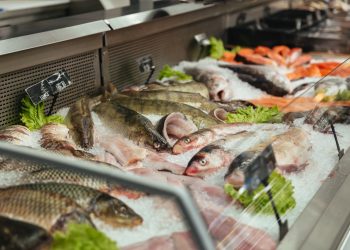 Preço de peixes aumenta no período da Quaresma em Poços de Caldas; confira