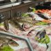 Preço de peixes aumenta no período da Quaresma em Poços de Caldas; confira