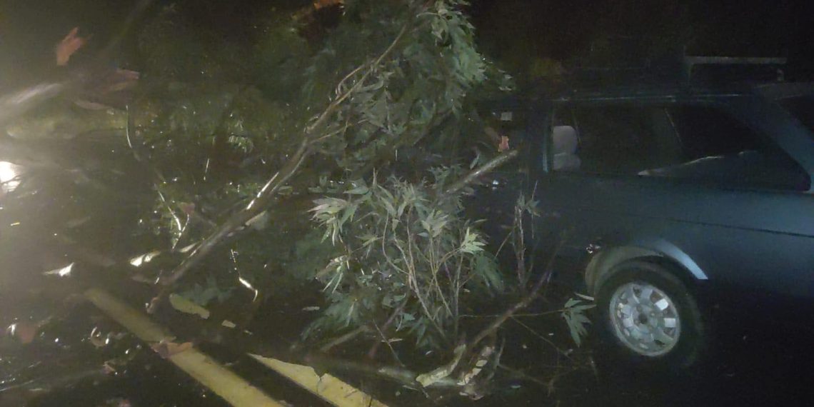 Fortes chuvas interrompem trânsito na MGC-146 entre Andradas e Poços de Caldas