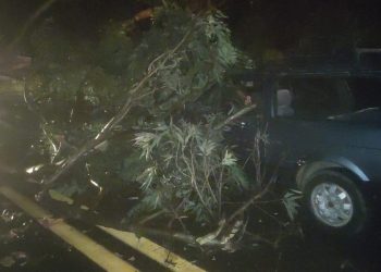 Fortes chuvas interrompem trânsito na MGC-146 entre Andradas e Poços de Caldas