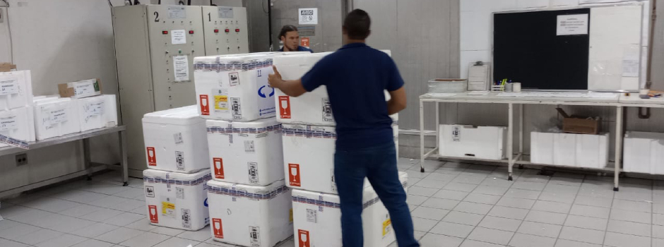 Minas Gerais inicia distribuição de vacinas contra Influenza para Campanha de Imunização de 2025