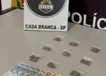 Mulher é presa e adolescente apreendido por tráfico de drogas em Santa Cruz das Palmeiras