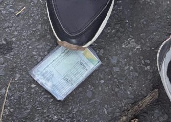 Perdeu documentos durante o Carnaval? Saiba como solicitar a segunda via nos canais oficiais do Governo de Minas