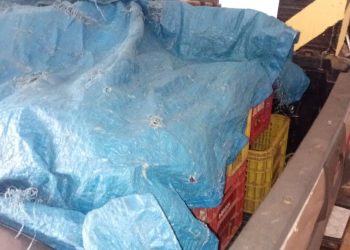 Alerta ao consumidor: fiscalização identifica produtos sem certificação em comércios de Poços