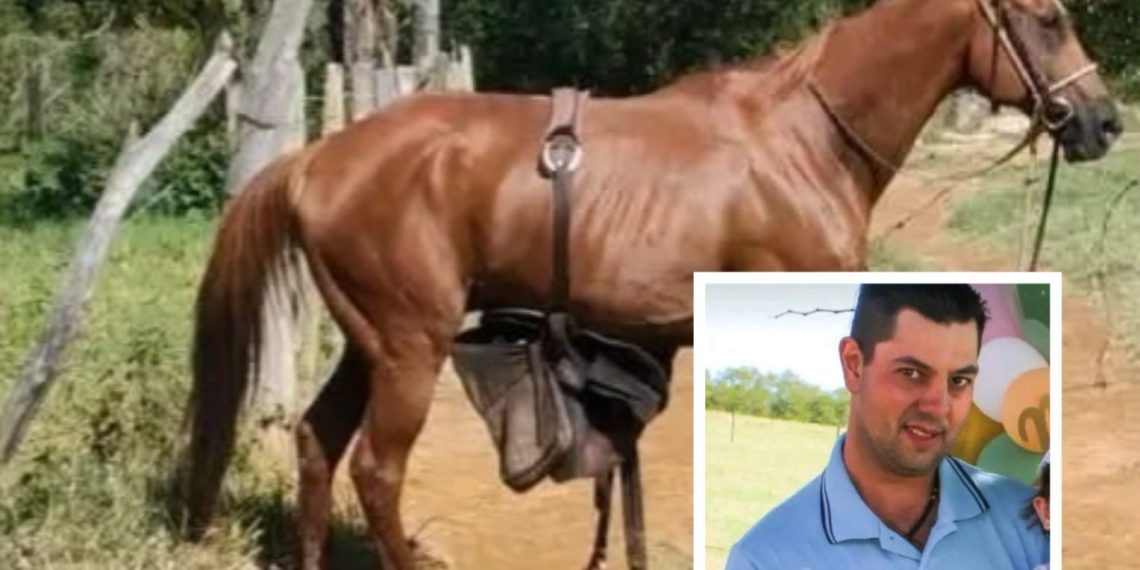 Cuidador de cavalos é encontrado gravemente ferido após montar em animal em Andradas