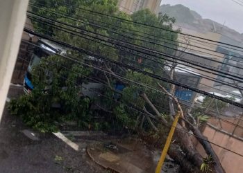 Chuva forte derruba árvore sobre ônibus no centro de São João da Boa Vista