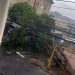 Chuva forte derruba árvore sobre ônibus no centro de São João da Boa Vista