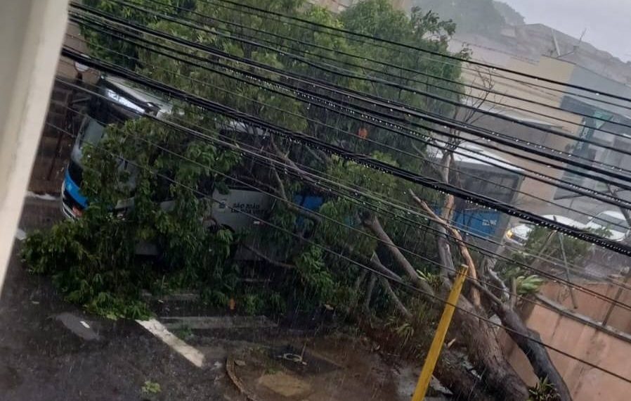 Chuva forte derruba árvore sobre ônibus no centro de São João da Boa Vista