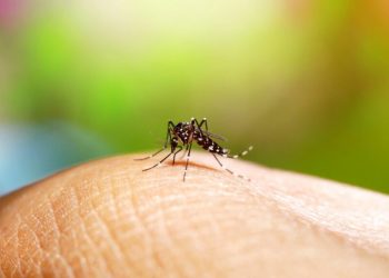 Confirmada 2ª morte por dengue e mais 1 mil novos casos em menos de um mês no Sul de Minas